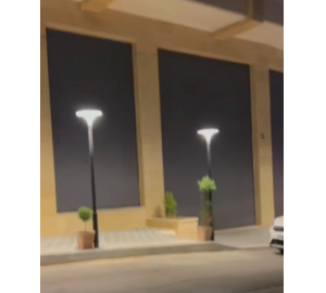 国际项目---巴勒斯坦项目